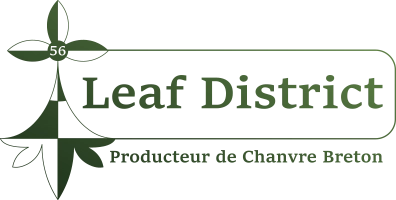 Leaf District