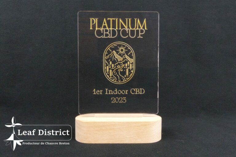 Photo blog Victoire PLATINIUM CBD CUP1