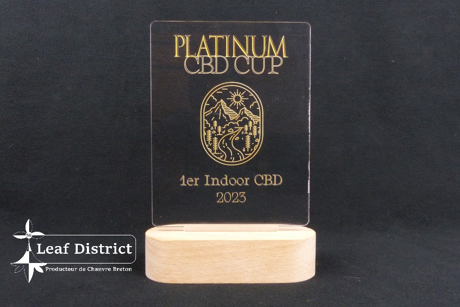 1er Prix CBD Indoor Platinium CBD Cup Accueil