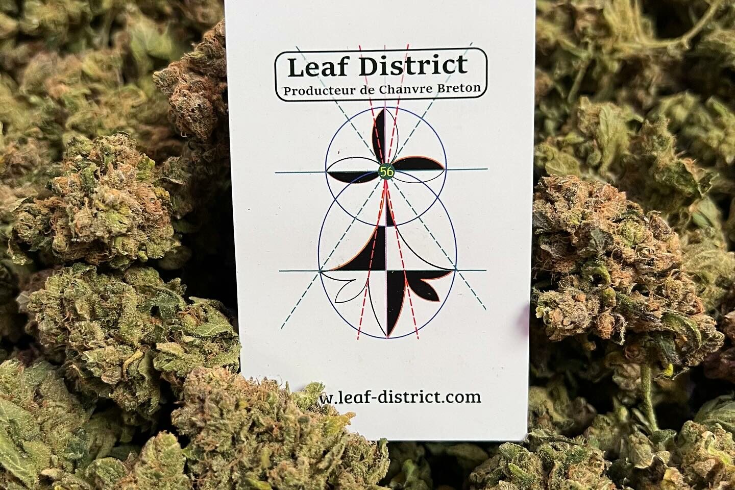 Fleurs de CBD CBG Leaf District