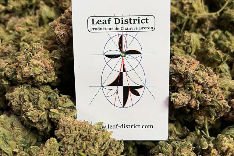 416107882_17899589303927026_4396860414209524826_n Fleurs de CBD CBG Leaf District