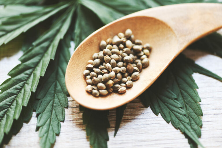 Marijuana seeds on wooden spoon and marijuana leaf on wood backg